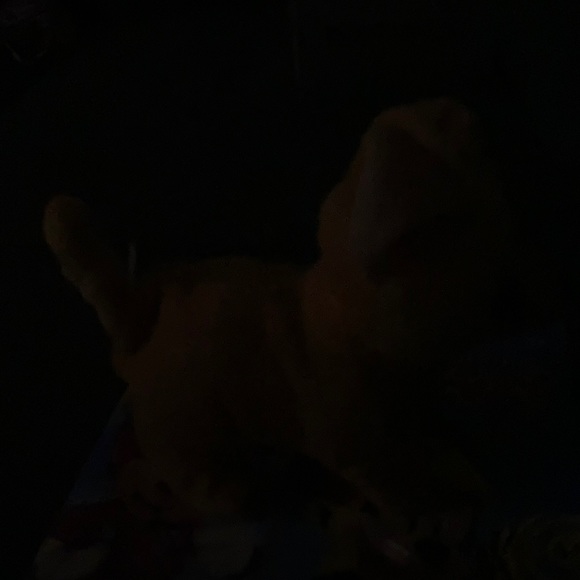 Meet your Posher, Darletha - Picture 1 of 1